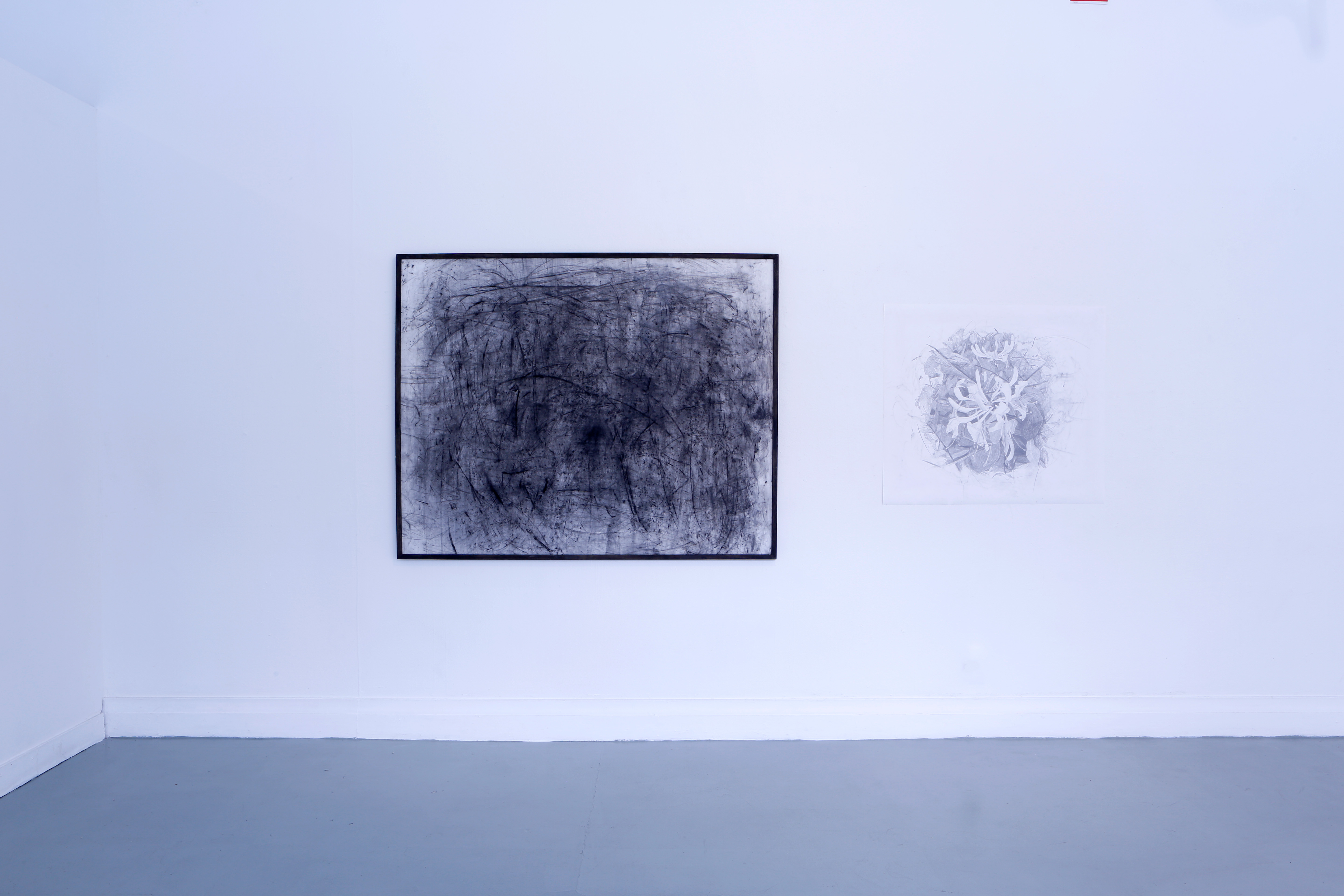 HONEYSUCKLE FOREVER (2025)