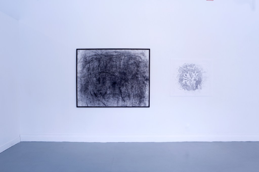 HONEYSUCKLE FOREVER (2025)